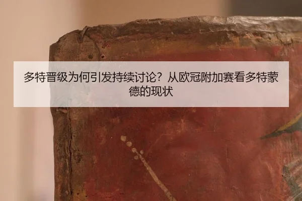 duo-te-jin-ji-wei-he-yin-fa-chi-xu-tao-lun-cong-ou-guan-fu-jia-sai-kan-duo-te-meng-de-de-xian-zhuang-2-669.jpg